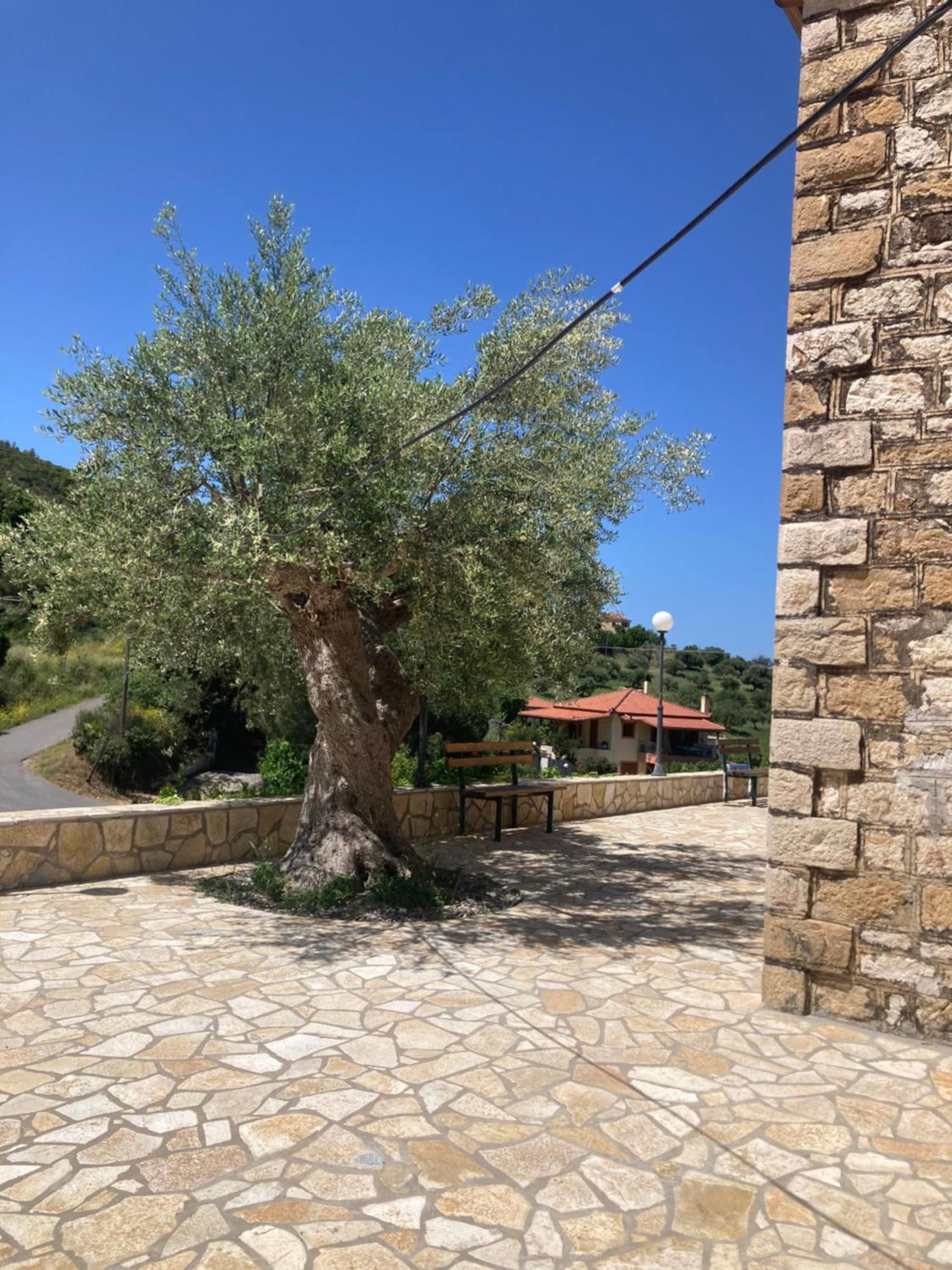 Villa Au Son Des Cloches Zacharo Esterno foto